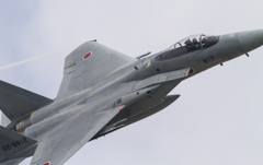 百里基地31