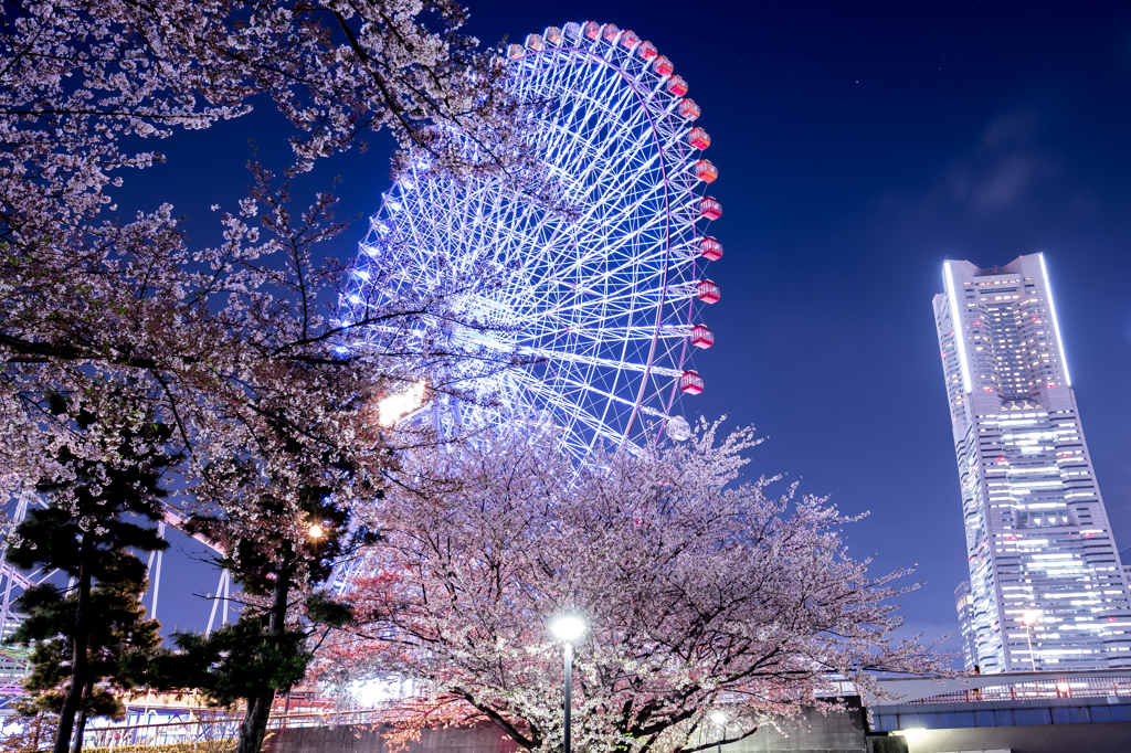 横浜夜景５