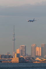 羽田空港8