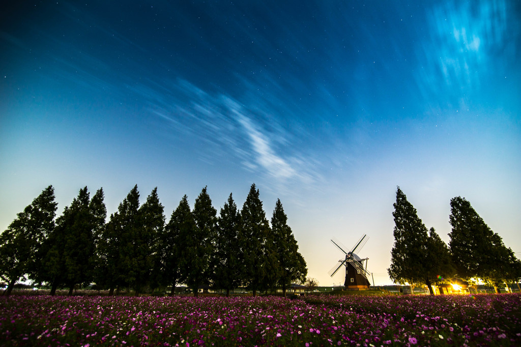 あけぼの山農業公園6_2