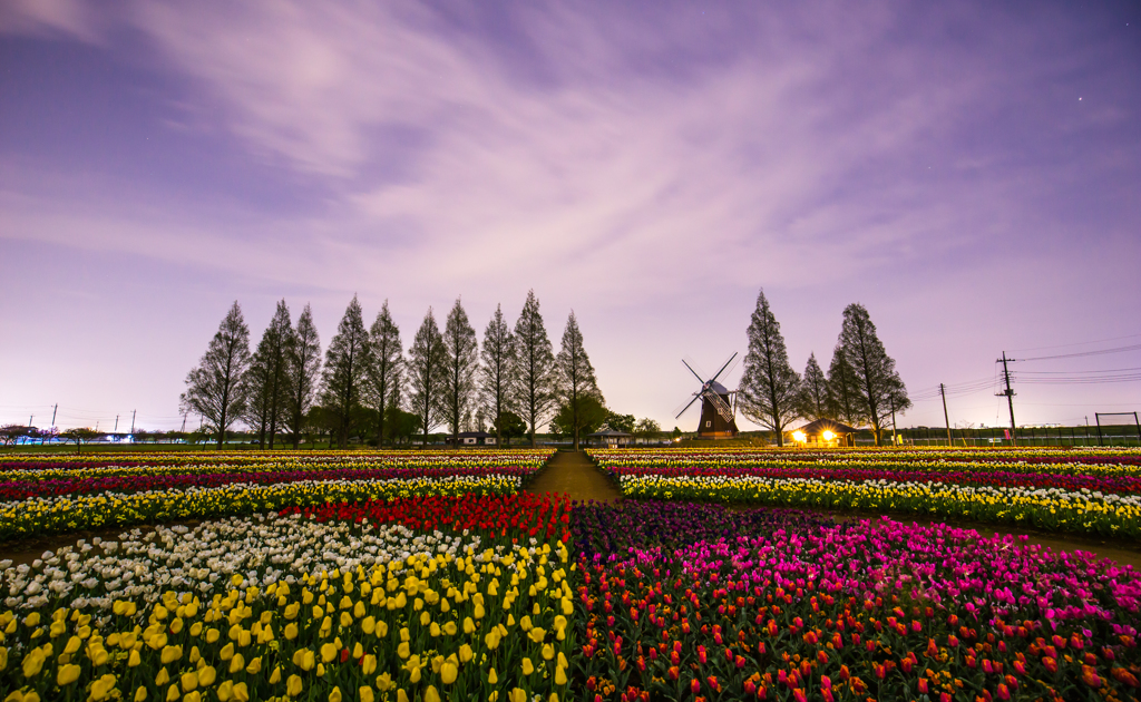 あけぼの山農業公園19
