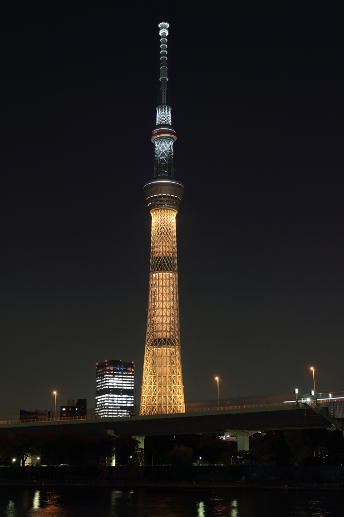 スカイツリーイルミネーション・・・・いろいろ５