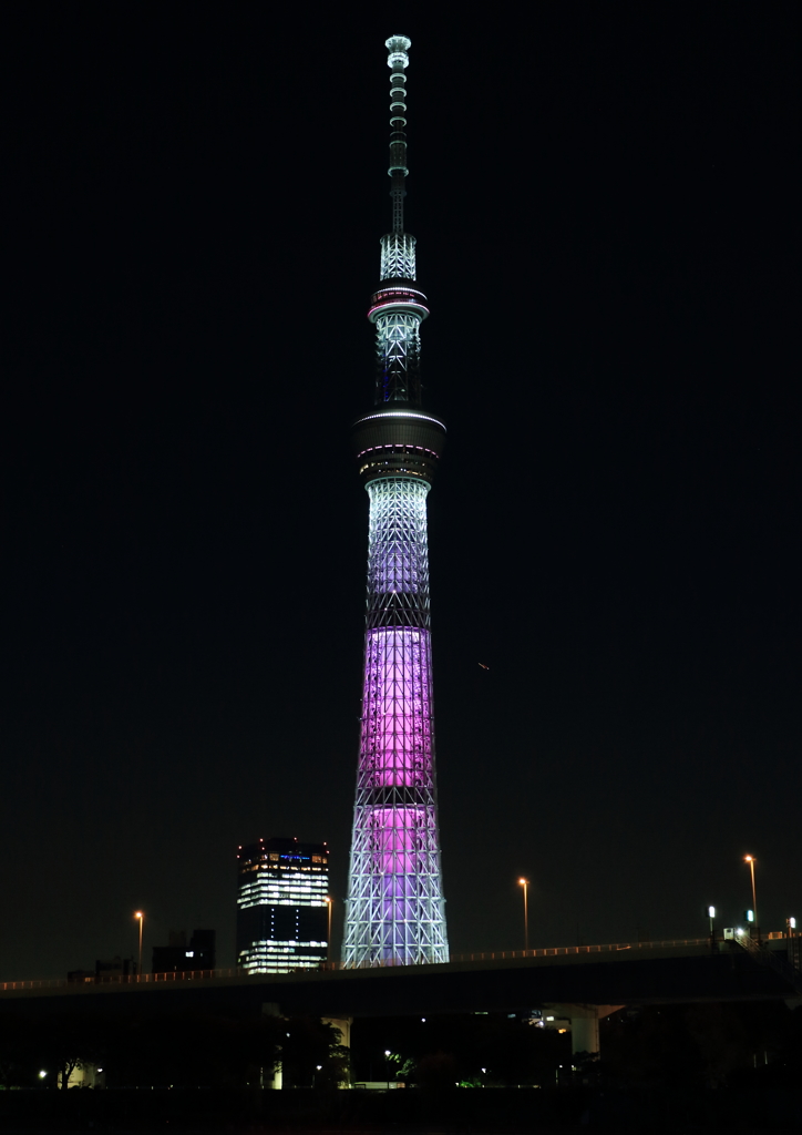 スカイツリーイルミネーション・・・・いろいろ３