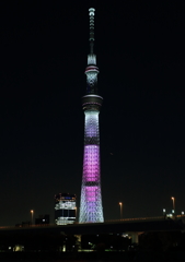 スカイツリーイルミネーション・・・・いろいろ３