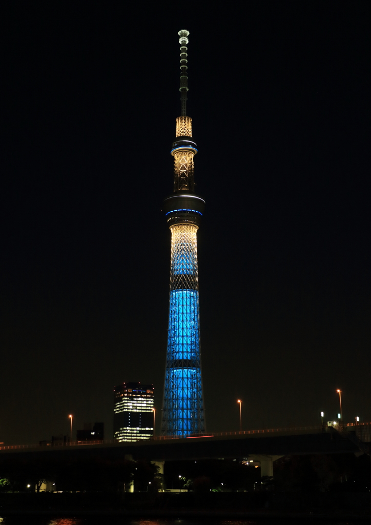 スカイツリーイルミネーション・・・・いろいろ２