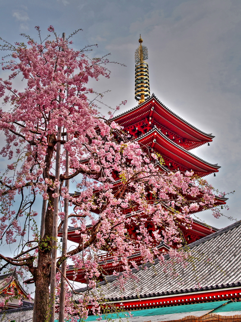 浅草寺にて