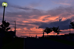 DSC_0570