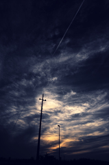 DSC_1014