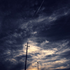 DSC_1014