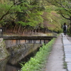 夕暮れの道
