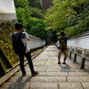 撮ってるねぇ
