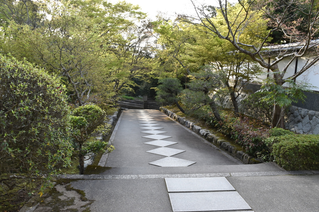 参道