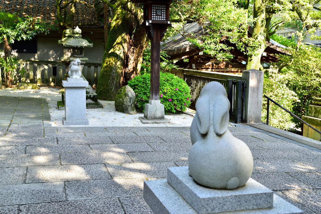 狛うさぎ