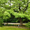 青蓮院#4