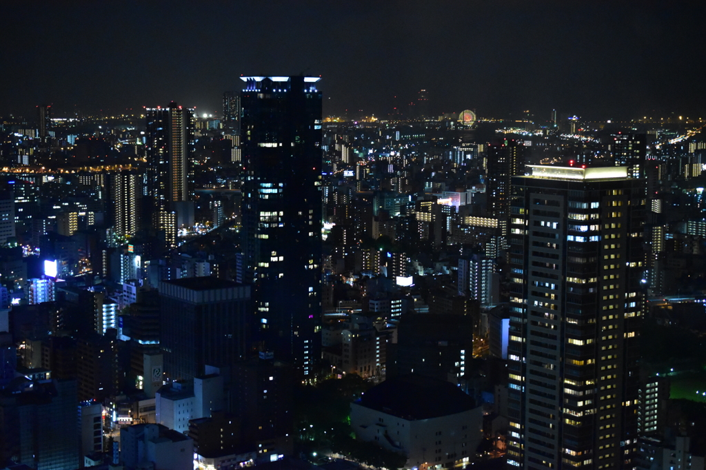 雨の空中庭園#5