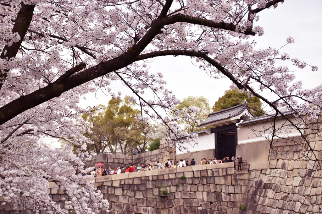 桜門