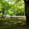 真如堂　参道