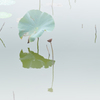 蓮池