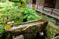 青蓮院#3
