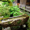 青蓮院#3