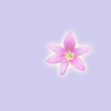 花一輪