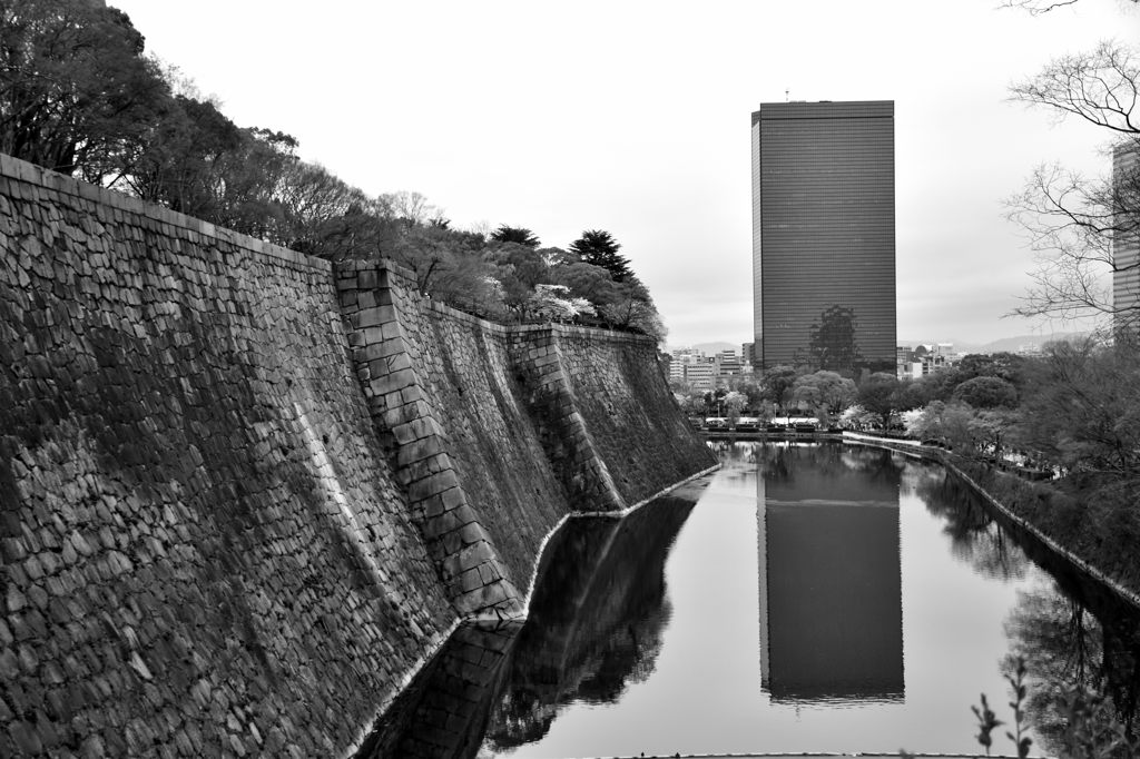 異文化