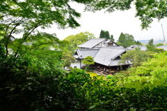 青蓮院#2