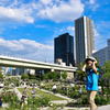中之島バラ園