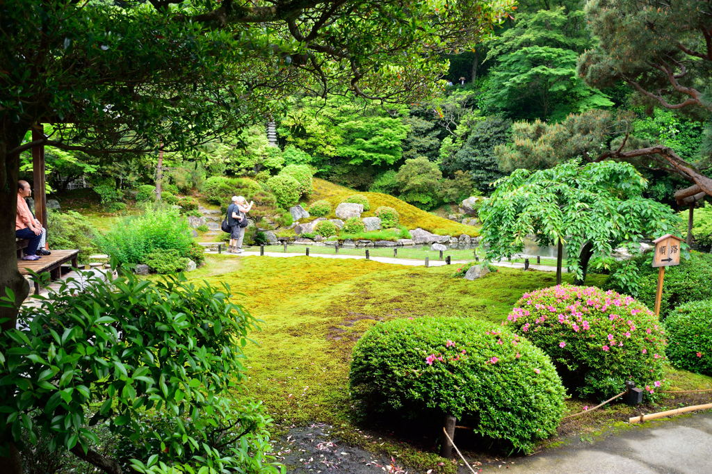 青蓮院