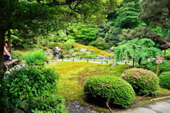 青蓮院