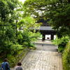 知恩院　男坂下り