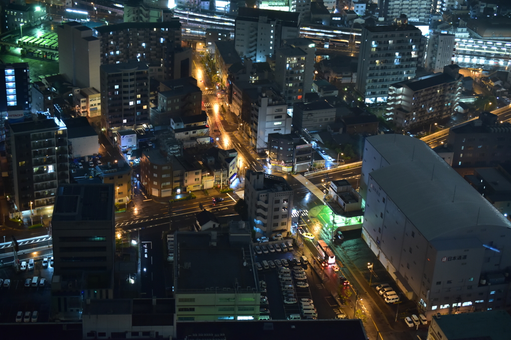 雨の空中庭園#3