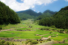 棚田 新城市