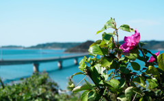 角島大橋