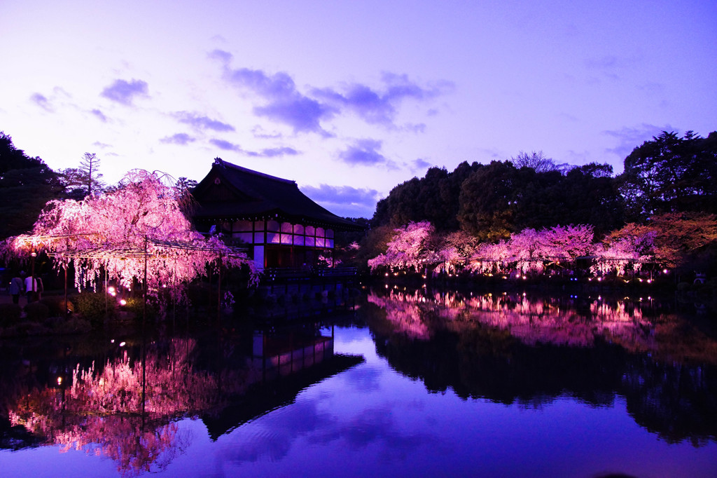 紅しだれ平安神宮