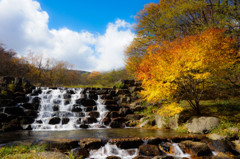 紅葉 広島
