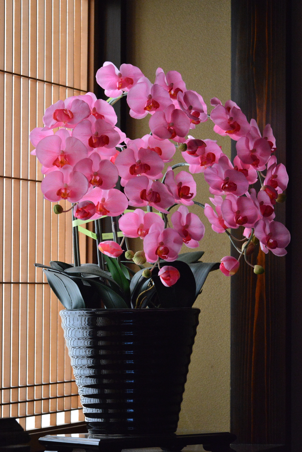 お花