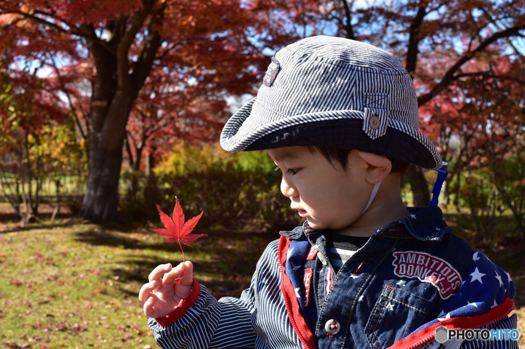 紅葉狩り