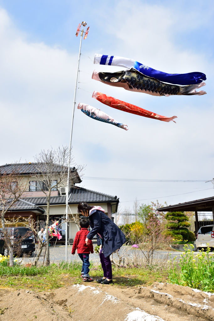 鯉のぼり３