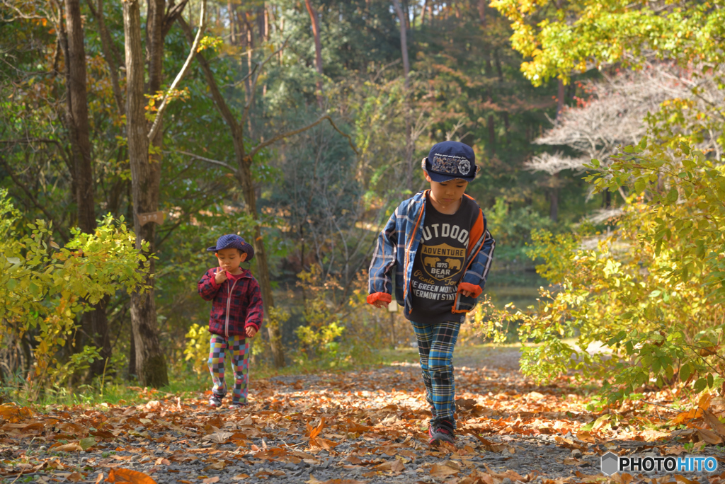 6歳と4歳の秋_4