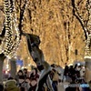 光のページェント