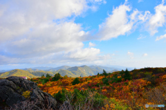 栗駒山の紅葉