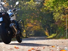 秋とバイク