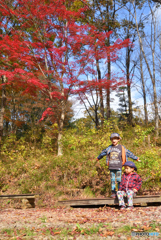 6歳と4歳の秋_3