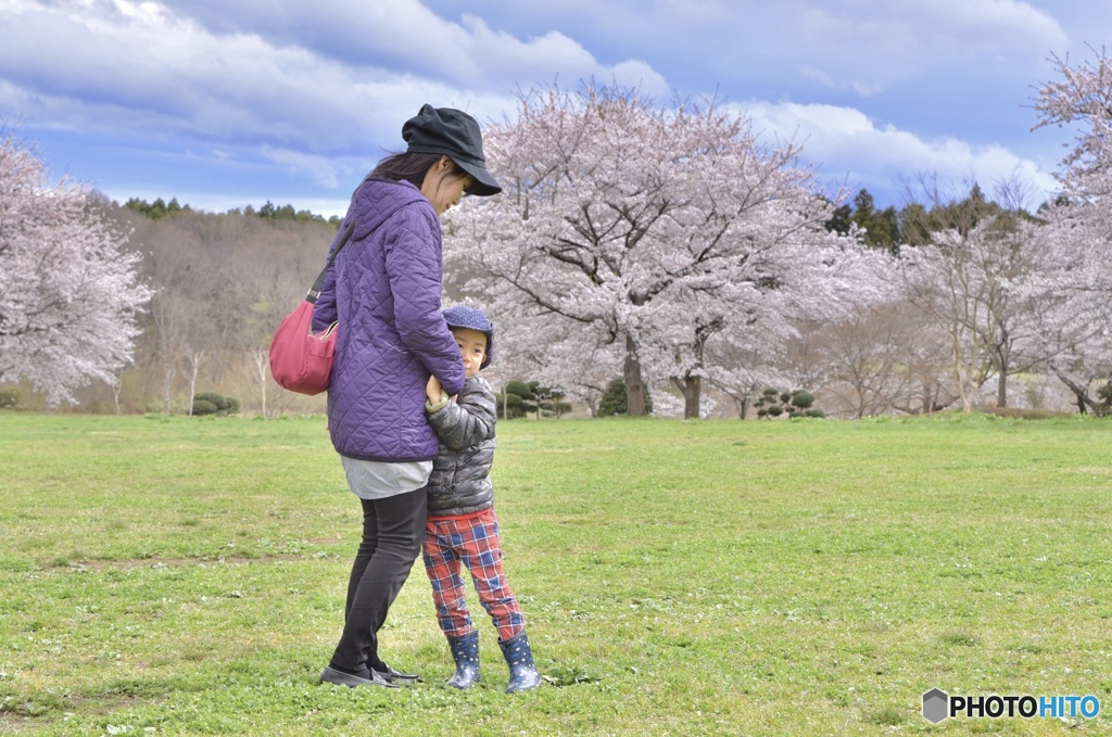 ママと桜とあいと4歳の春2