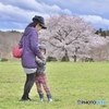 ママと桜とあいと4歳の春2