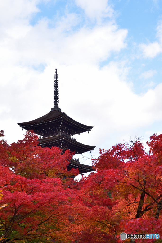 五重塔と紅葉