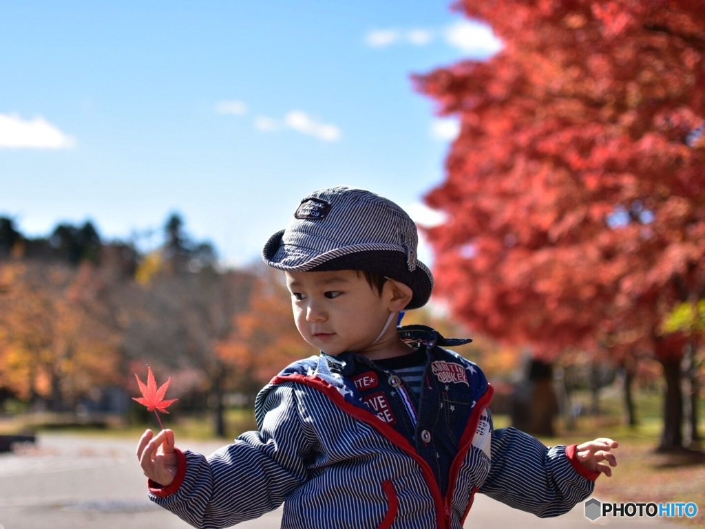 紅葉狩り