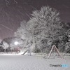 雪景色_2