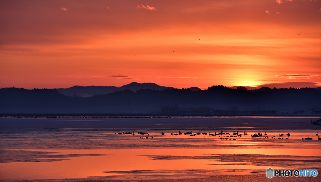 伊豆沼の朝焼け２